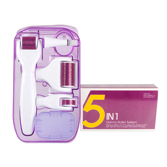 6-in-1 Derma Roller Kit – Microneedling Skin Care Set