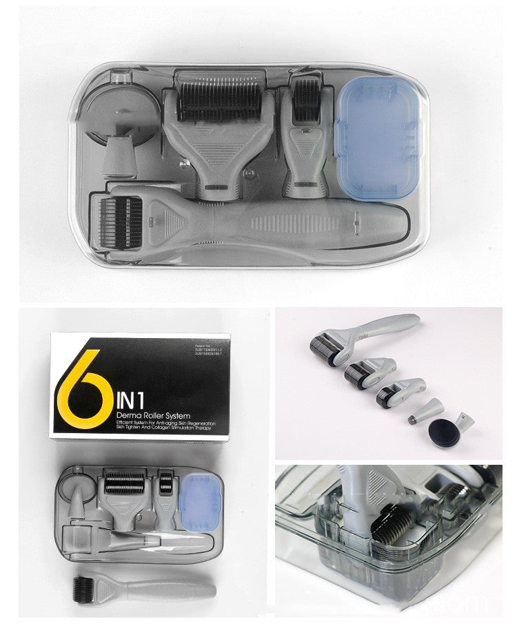 6-in-1 Derma Roller Kit – Microneedling Skin Care Set