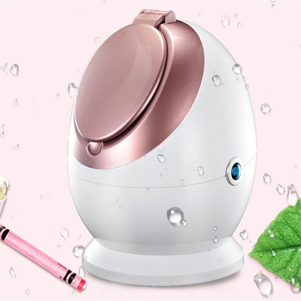 ✨ Professional Nano Ionic Facial Steamer