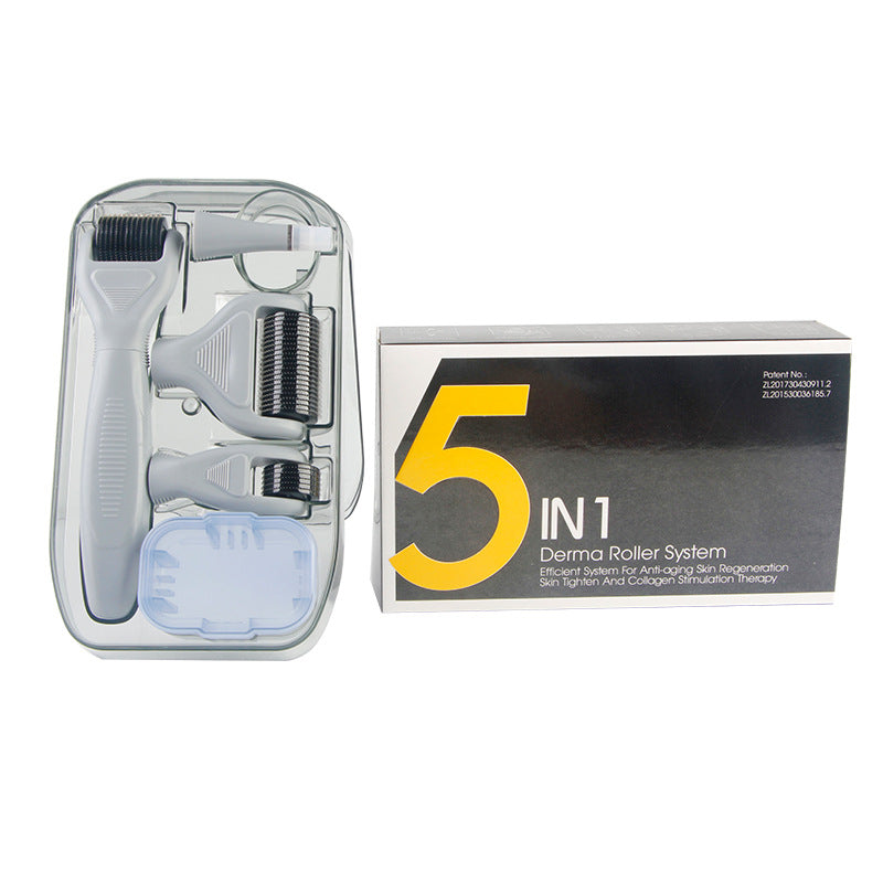 6-in-1 Derma Roller Kit – Microneedling Skin Care Set