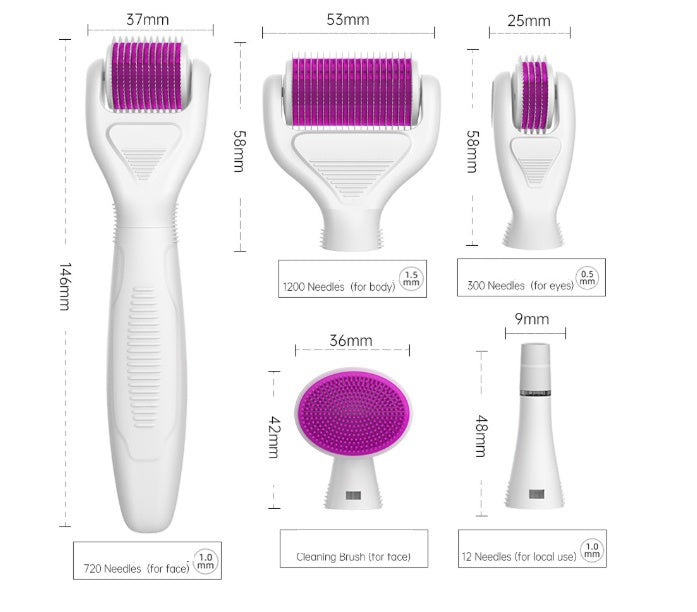 6-in-1 Derma Roller Kit – Microneedling Skin Care Set
