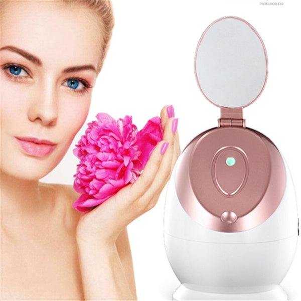 ✨ Professional Nano Ionic Facial Steamer