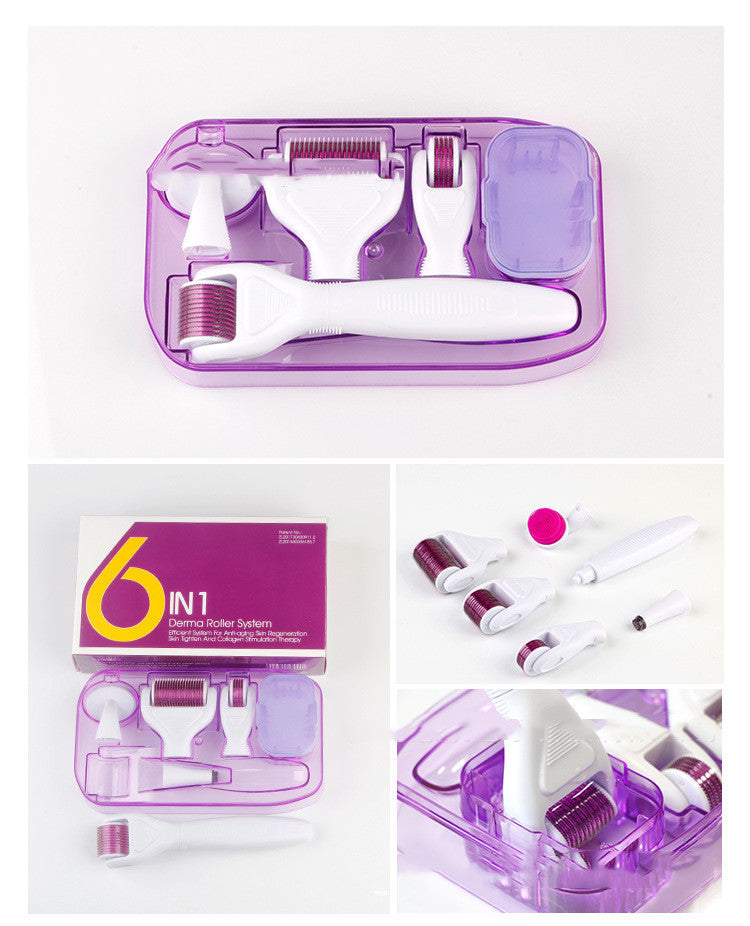 6-in-1 Derma Roller Kit – Microneedling Skin Care Set